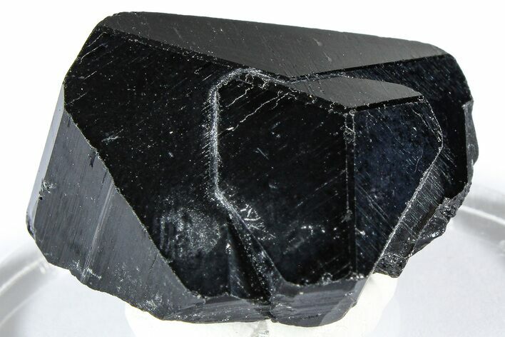 Lustrous Black Tourmaline (Schorl) Crystal - Namibia #361661